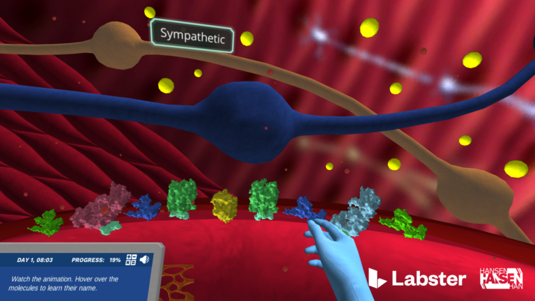 How Smooth Muscle in Human Intestine Works